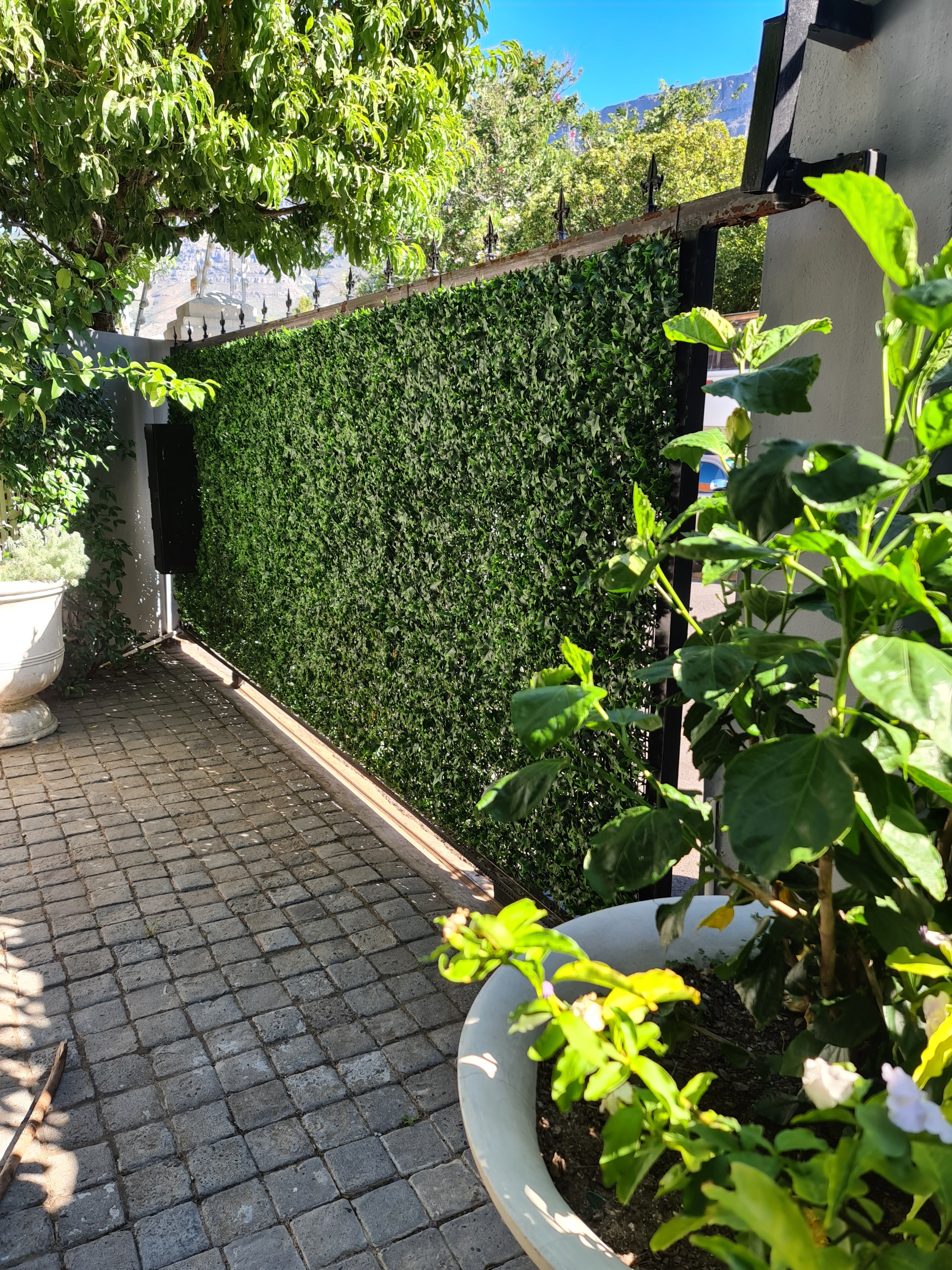 Ivy Artificial Hedge 1m x 1m