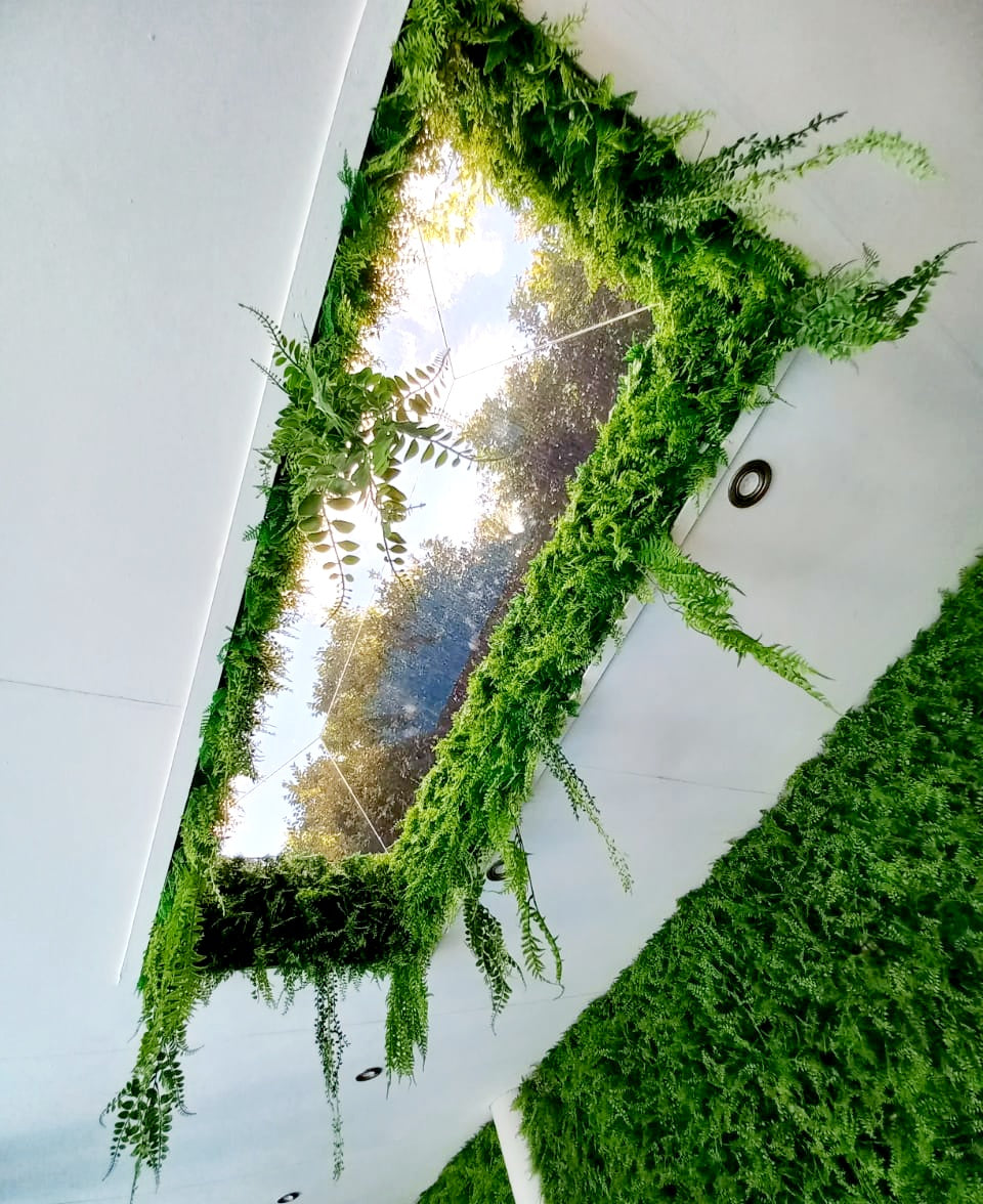 Custom Created Ceiling Features