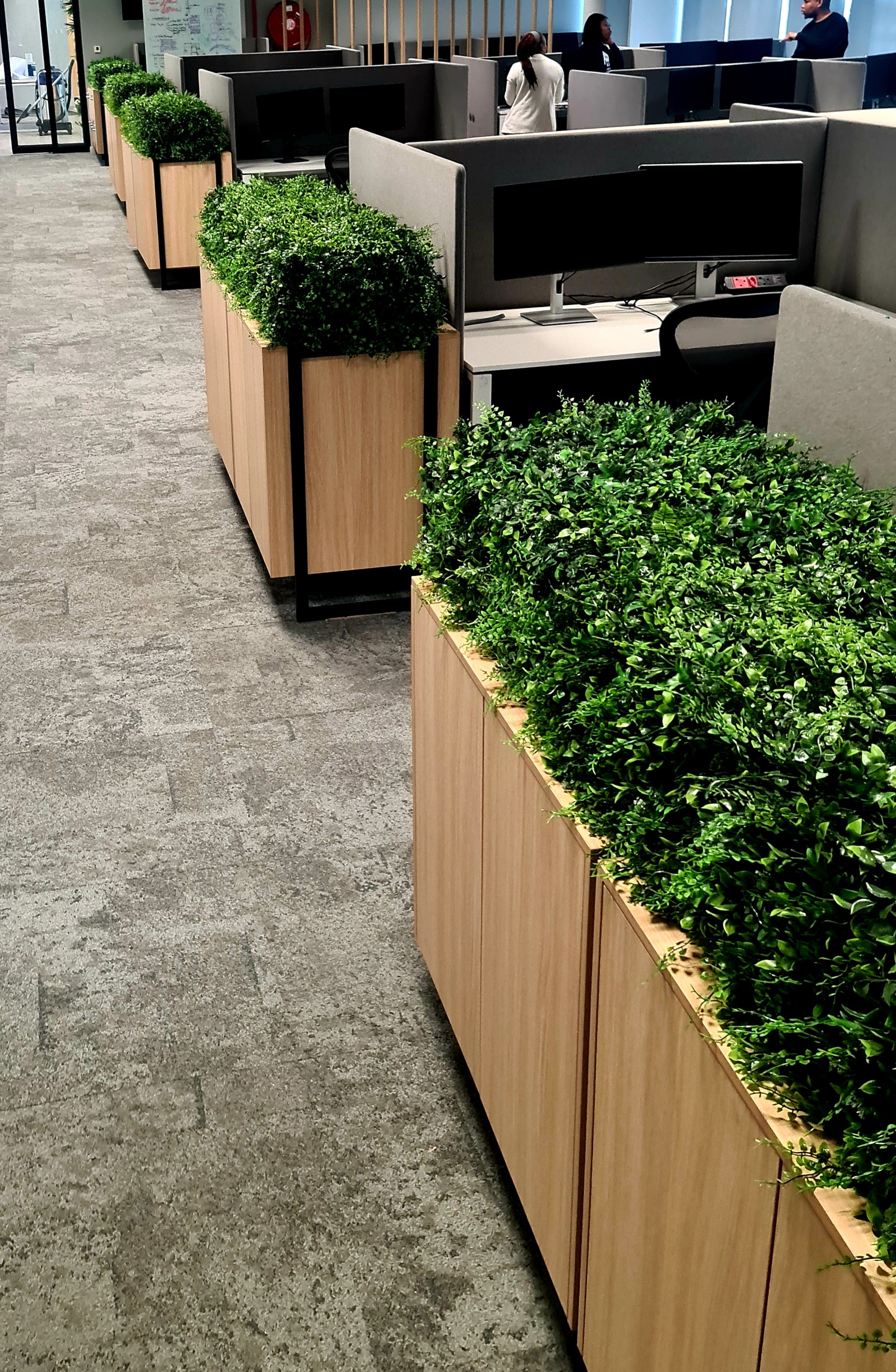 Sanctuary Fern Artificial Hedge 1m x 1m