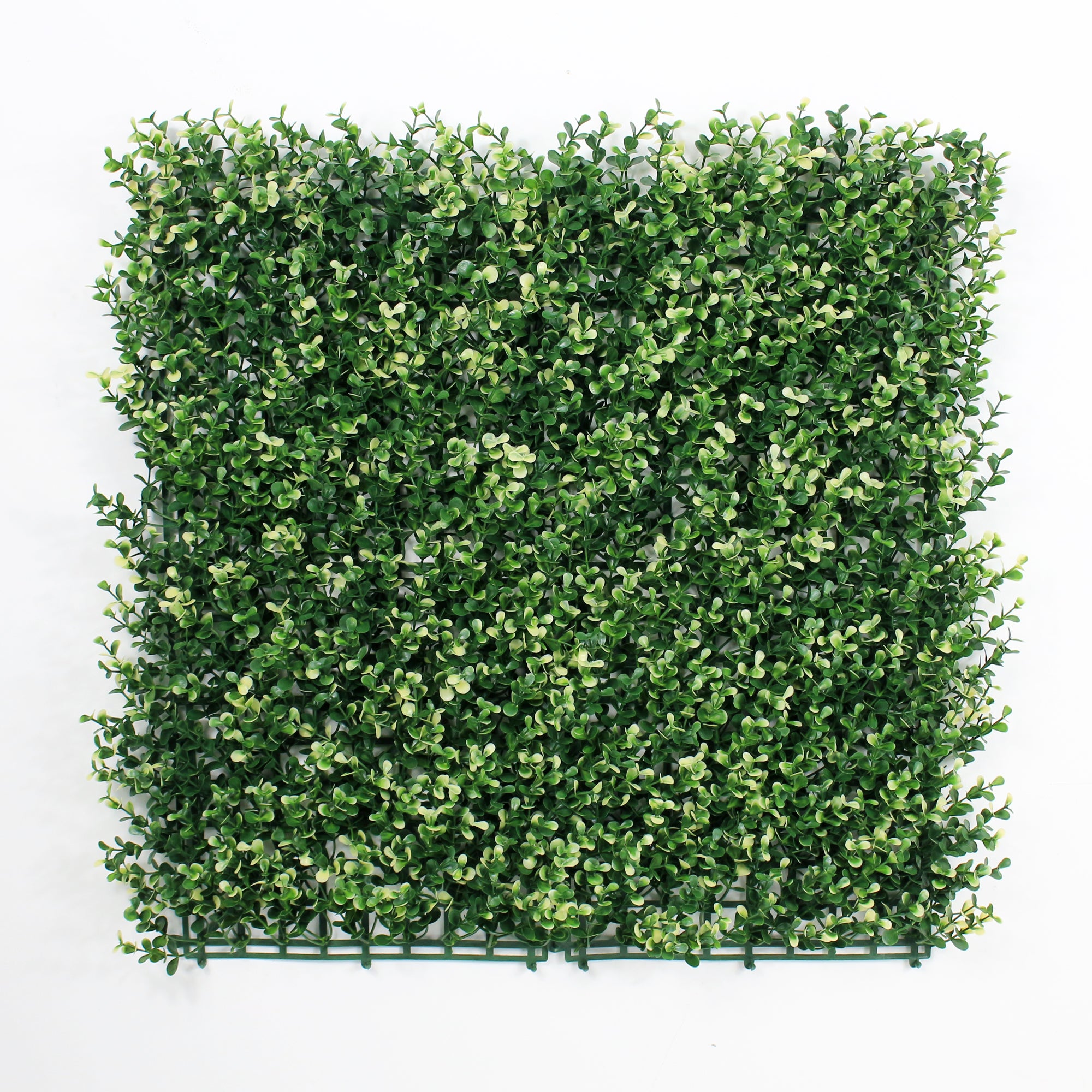 Myrtle White Artificial Hedge 1m x 1m