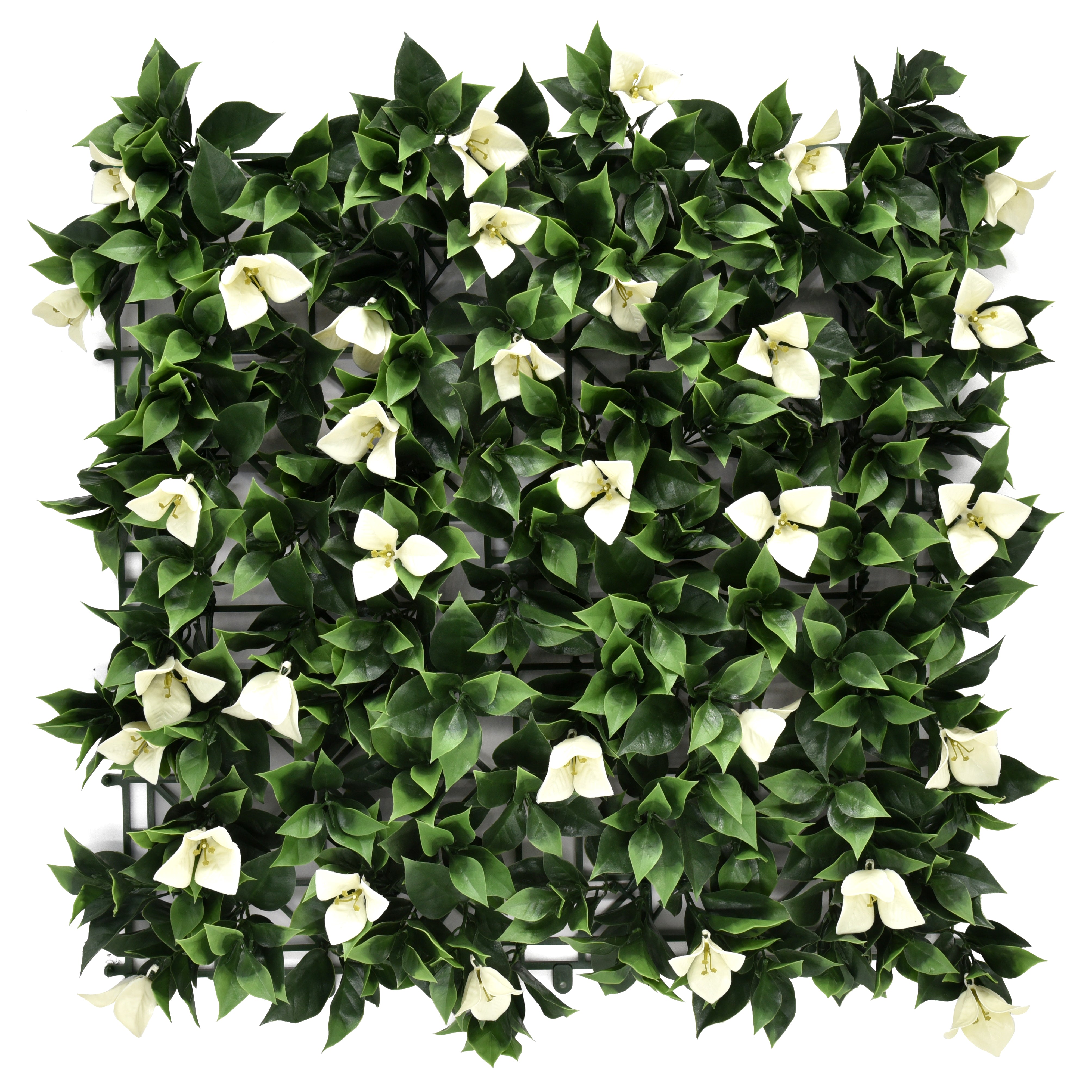 Bougainvillea White Artificial Hedge 1m x 1m