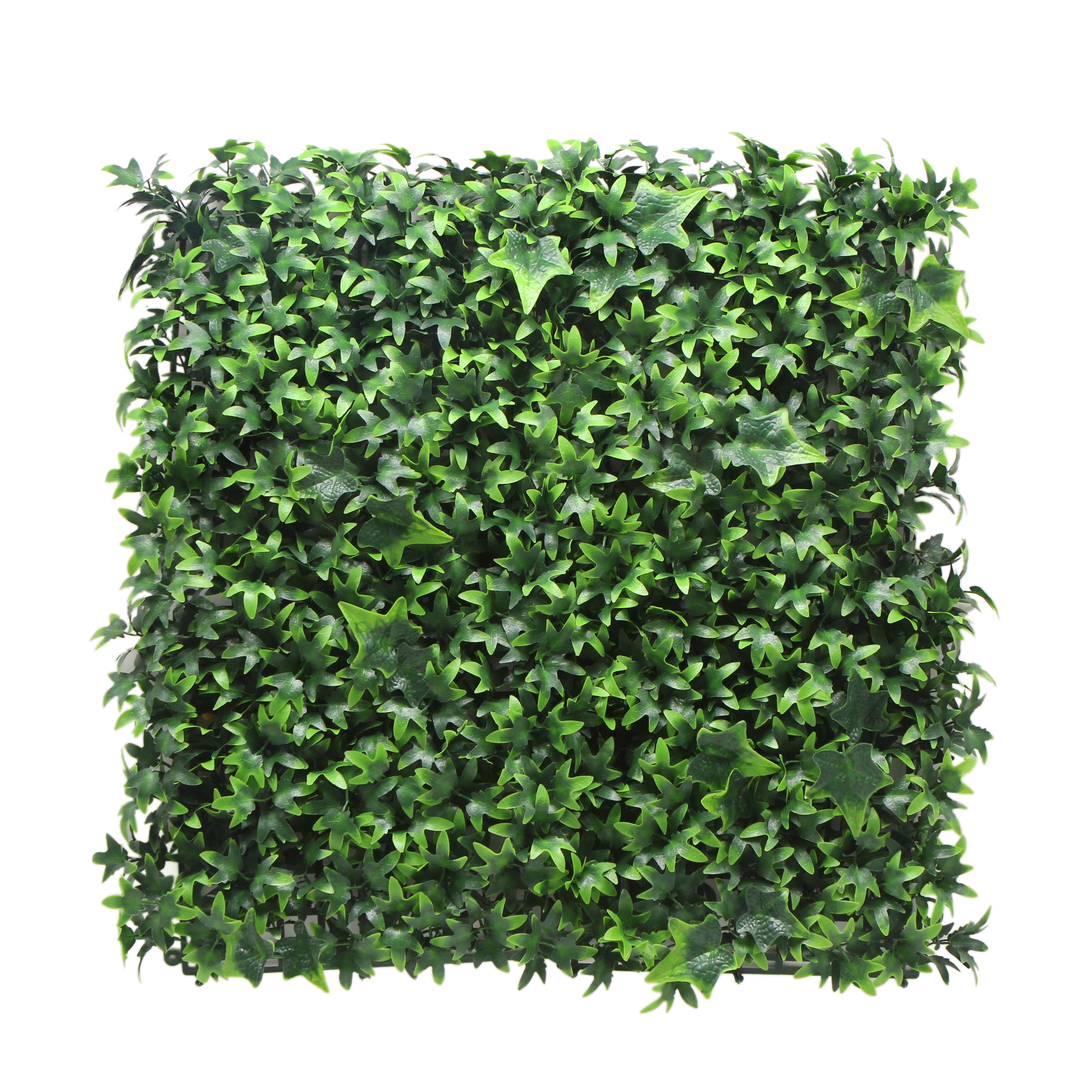 Ivy Artificial Hedge 1m x 1m