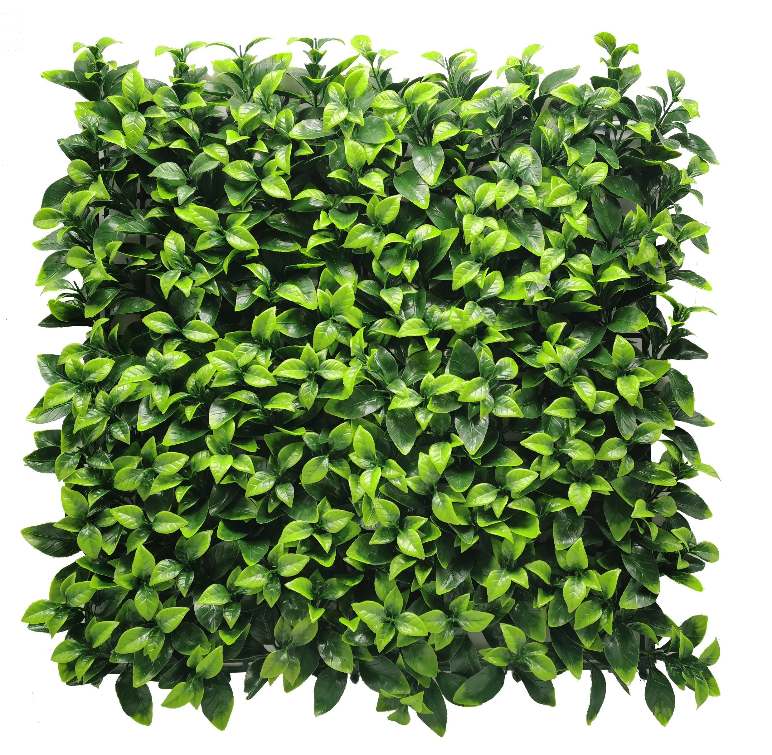 Jasmine Artificial Hedge 1m x 1m