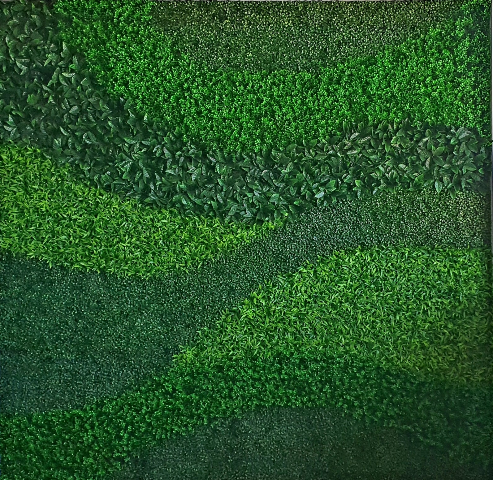 Custom Designed Greenwall 1m x 1m