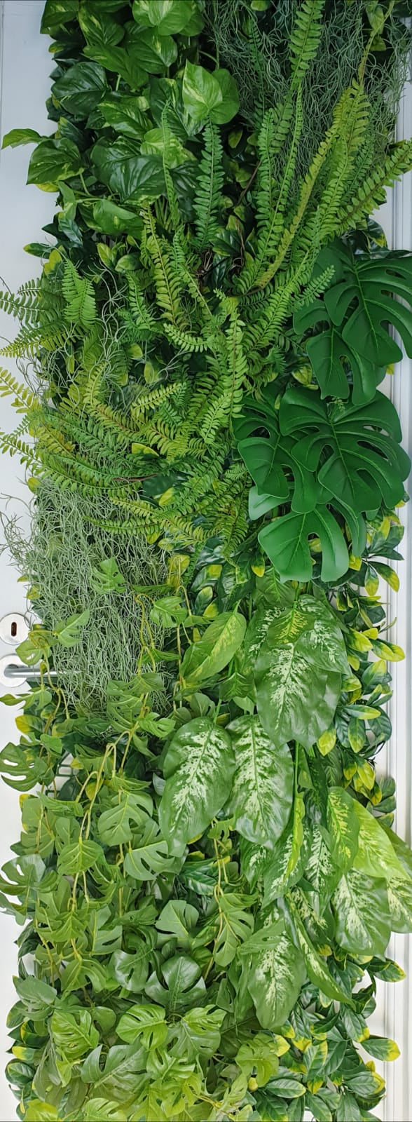 Custom Designed Greenwall 1m x 1m