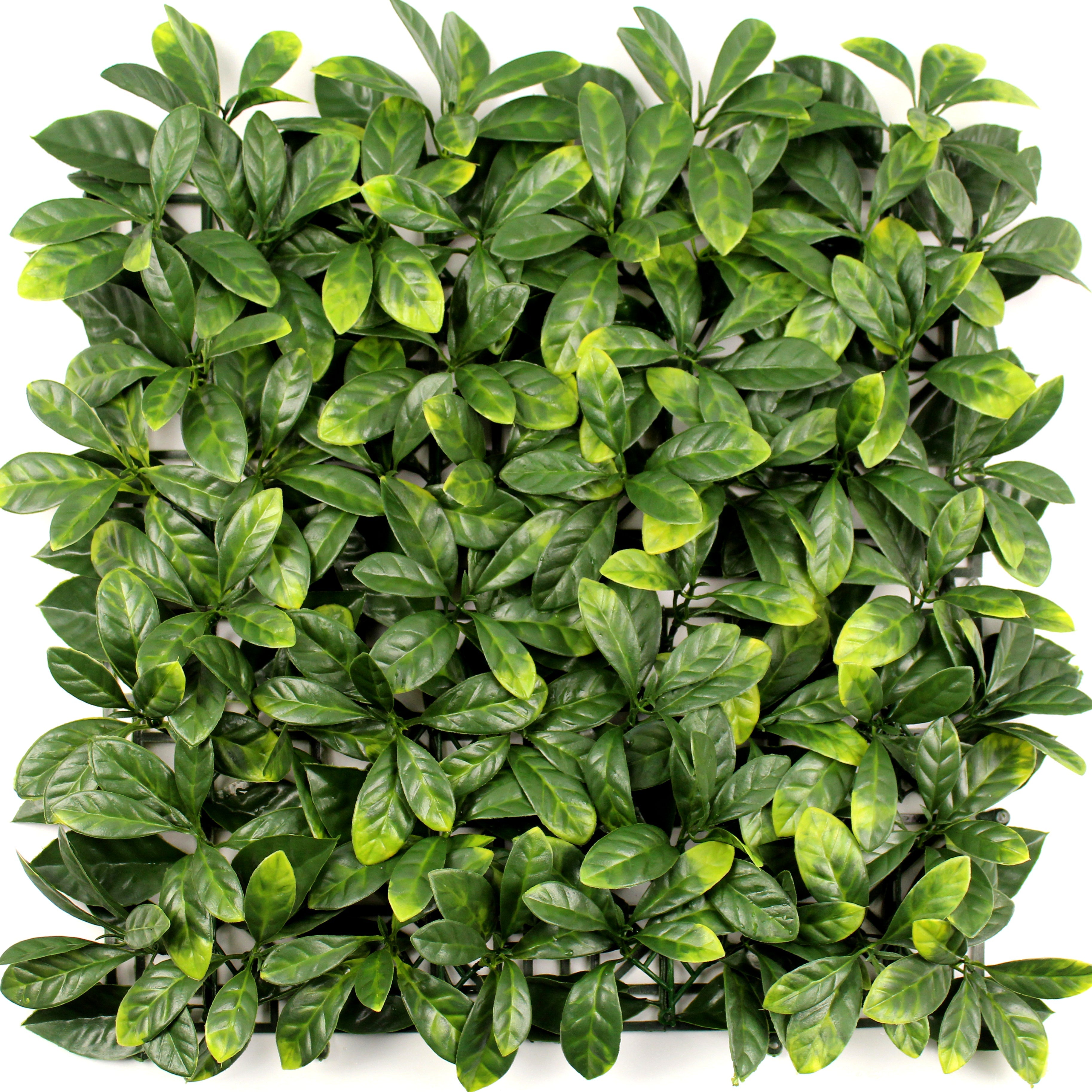 Leaf & Living Bay Leaf Yellow Artificial Hedge
