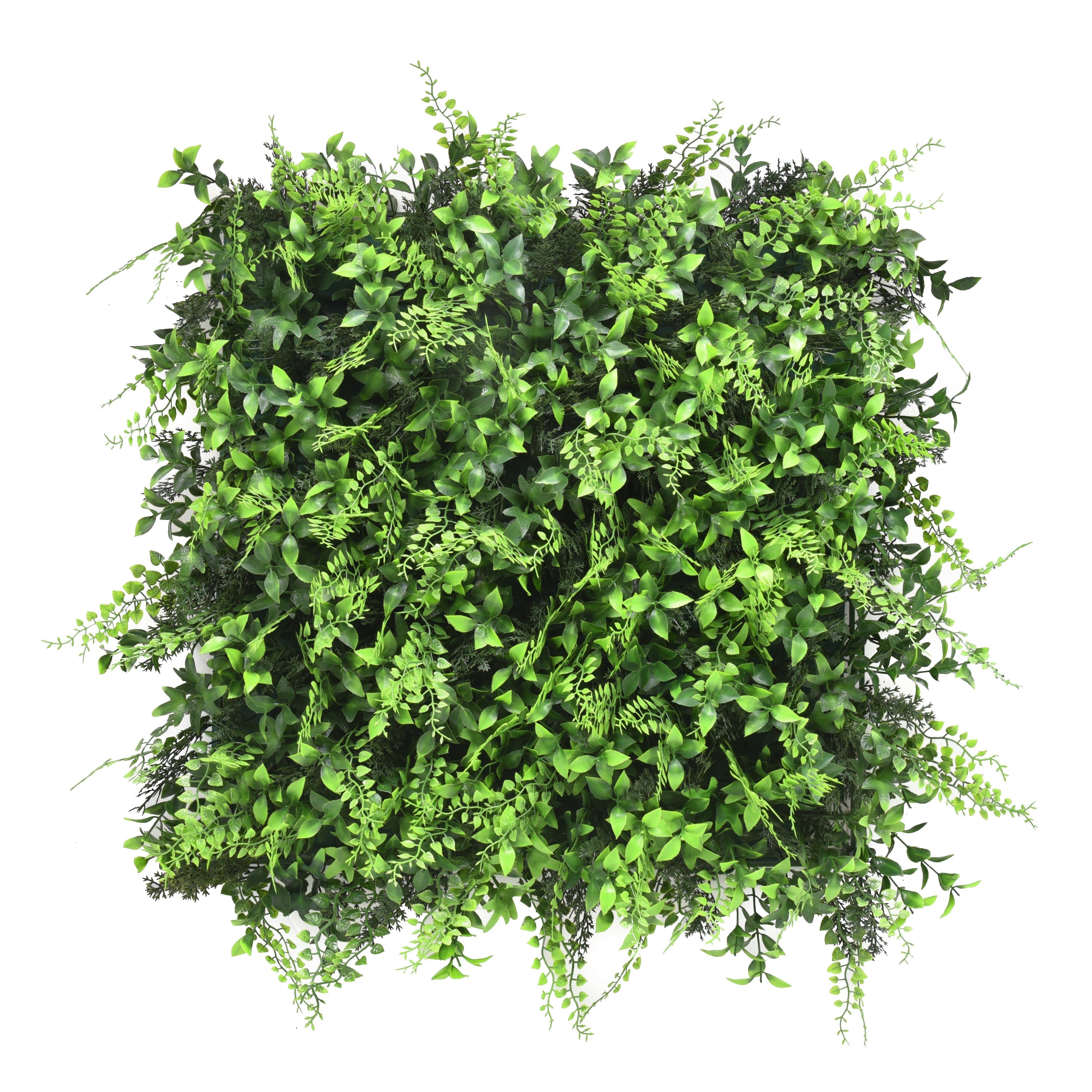 Sanctuary Fern Artificial Hedge 1m x 1m