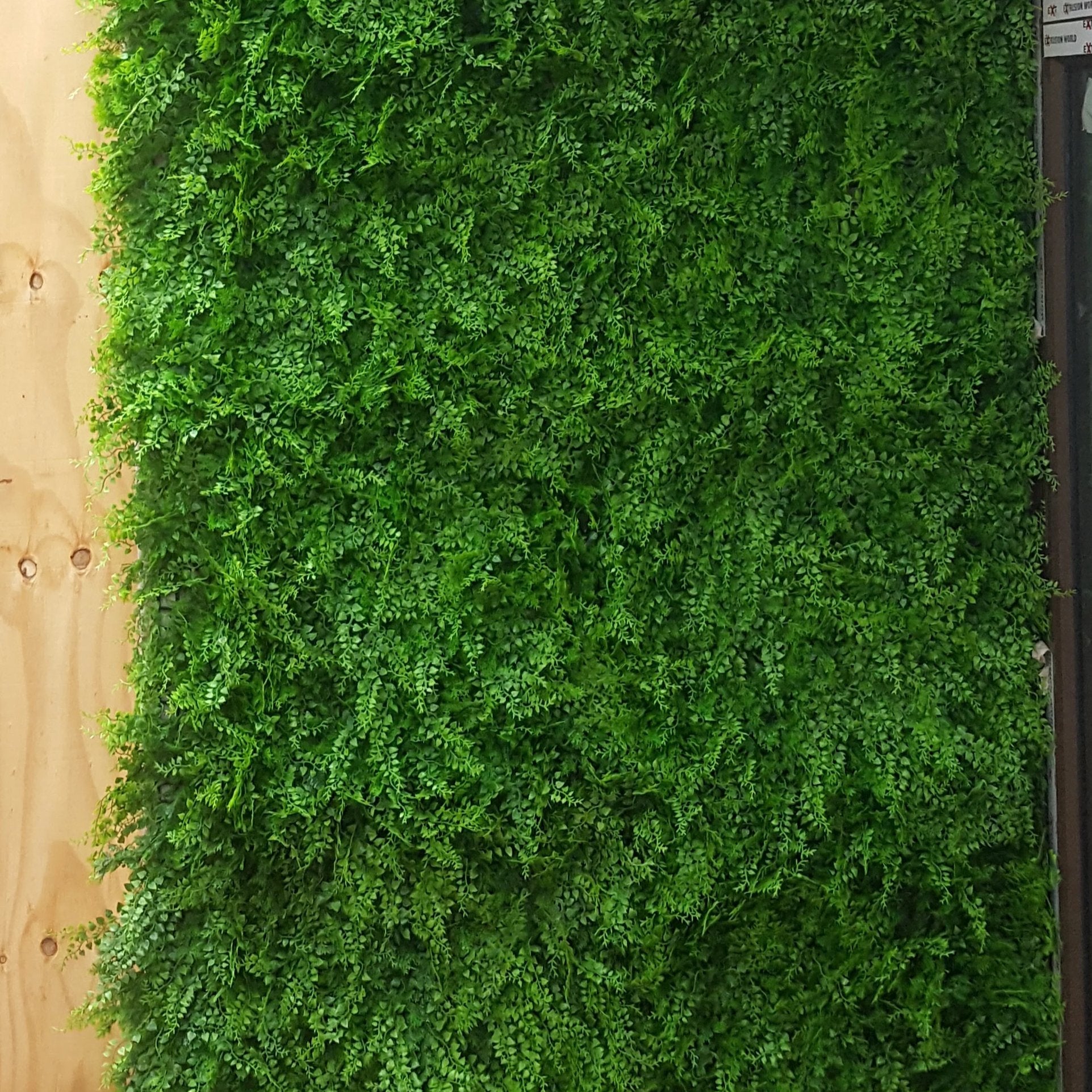 Leaf & Living Forest Fern artificial hedging wall cladding