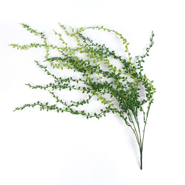 Leaf & Living String of Pearls Hanging Plant