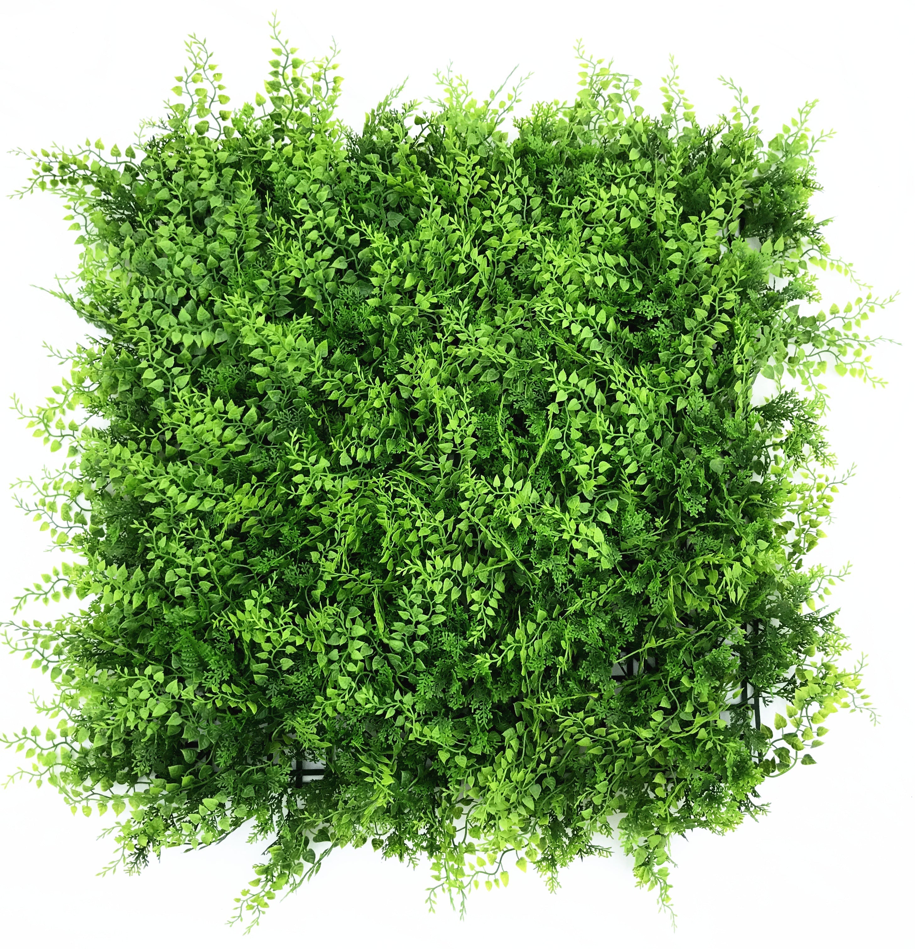 Leaf & Living Forest Fern Artificial Hedge