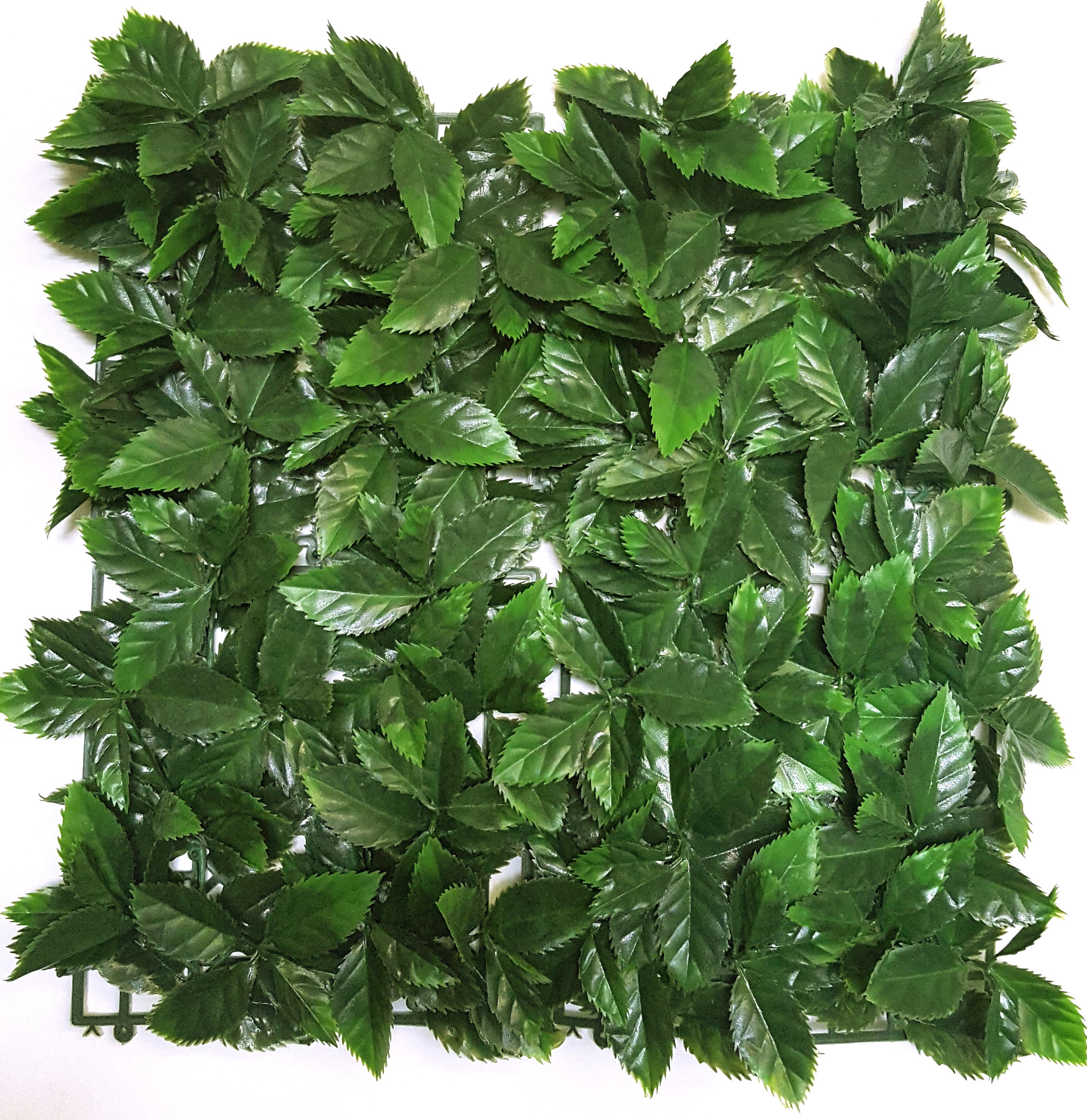 Photinia Green Artificial Hedge 1m x 1m