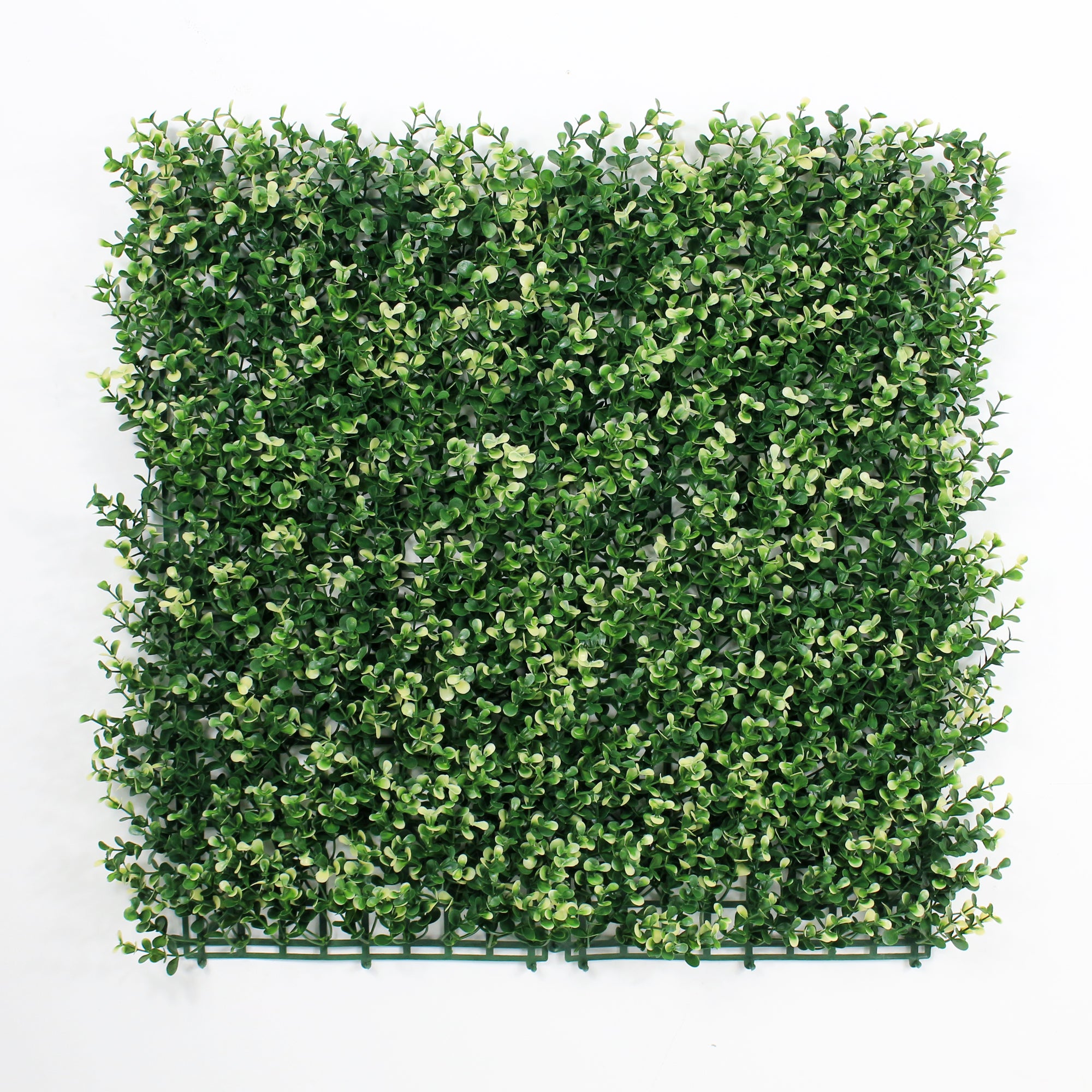 Myrtle White Artificial Hedge
