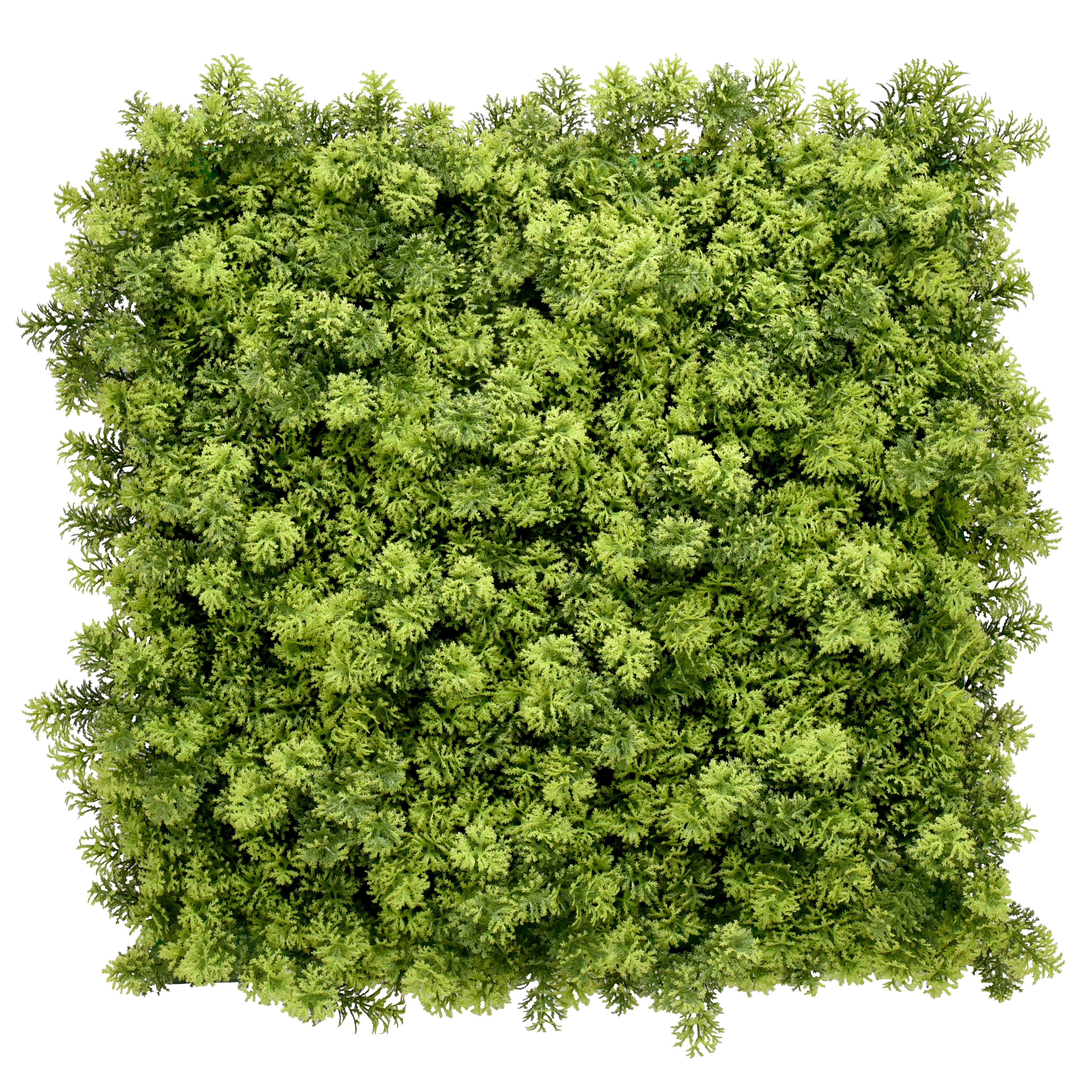 Chunky Moss Artificial Hedge 1m x 1m