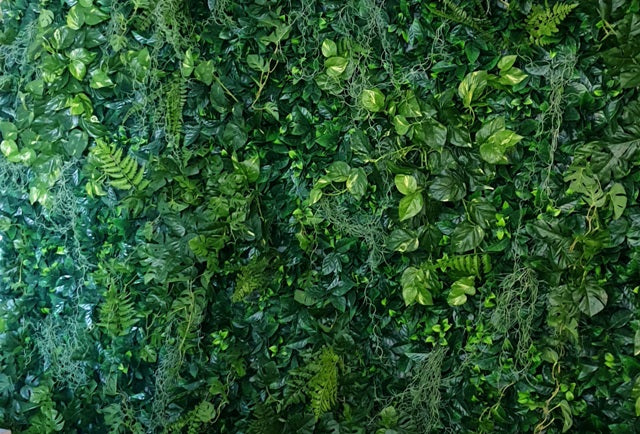 Custom Designed Greenwall 1m x 1m