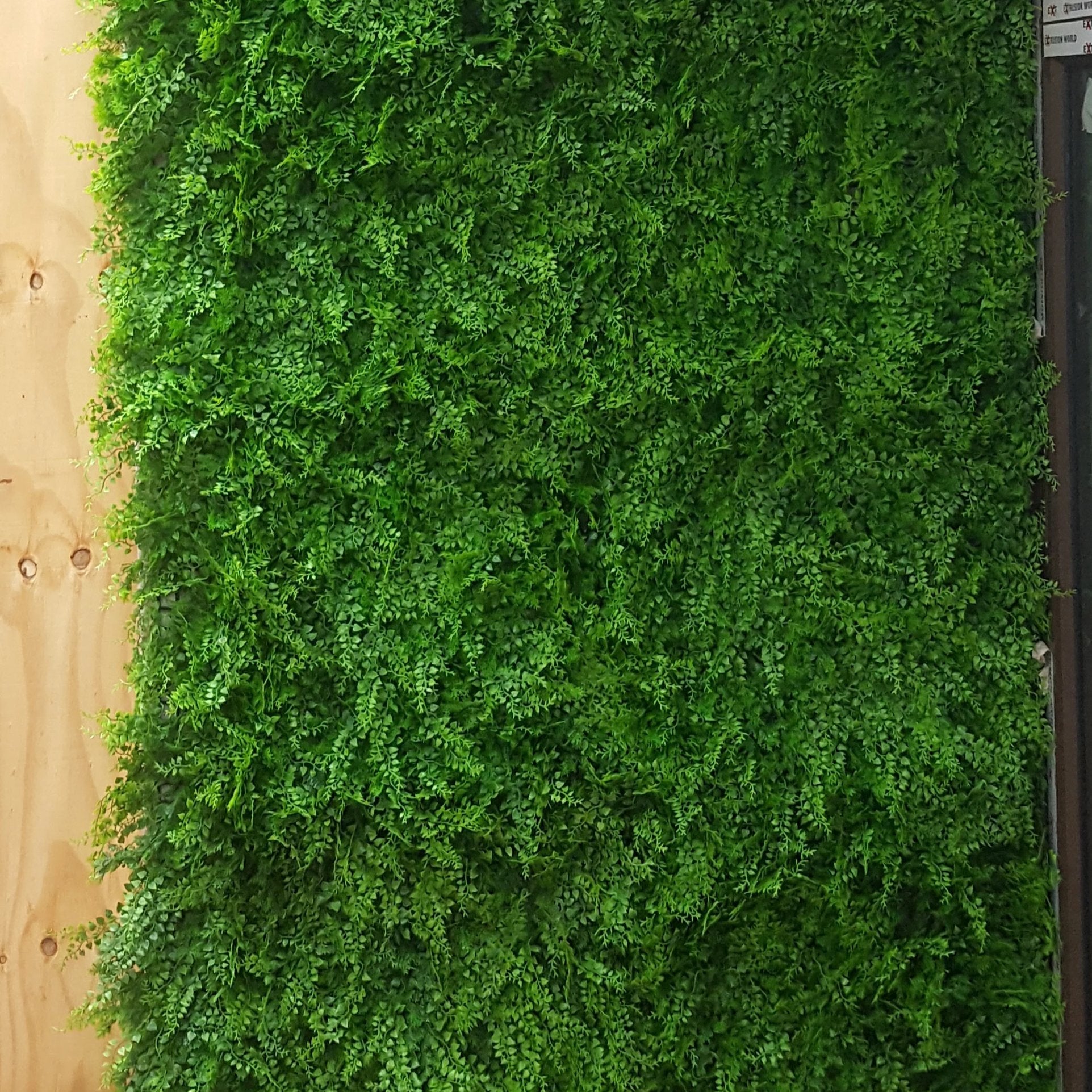Leaf & Living Forest Fern artificial hedging wall cladding