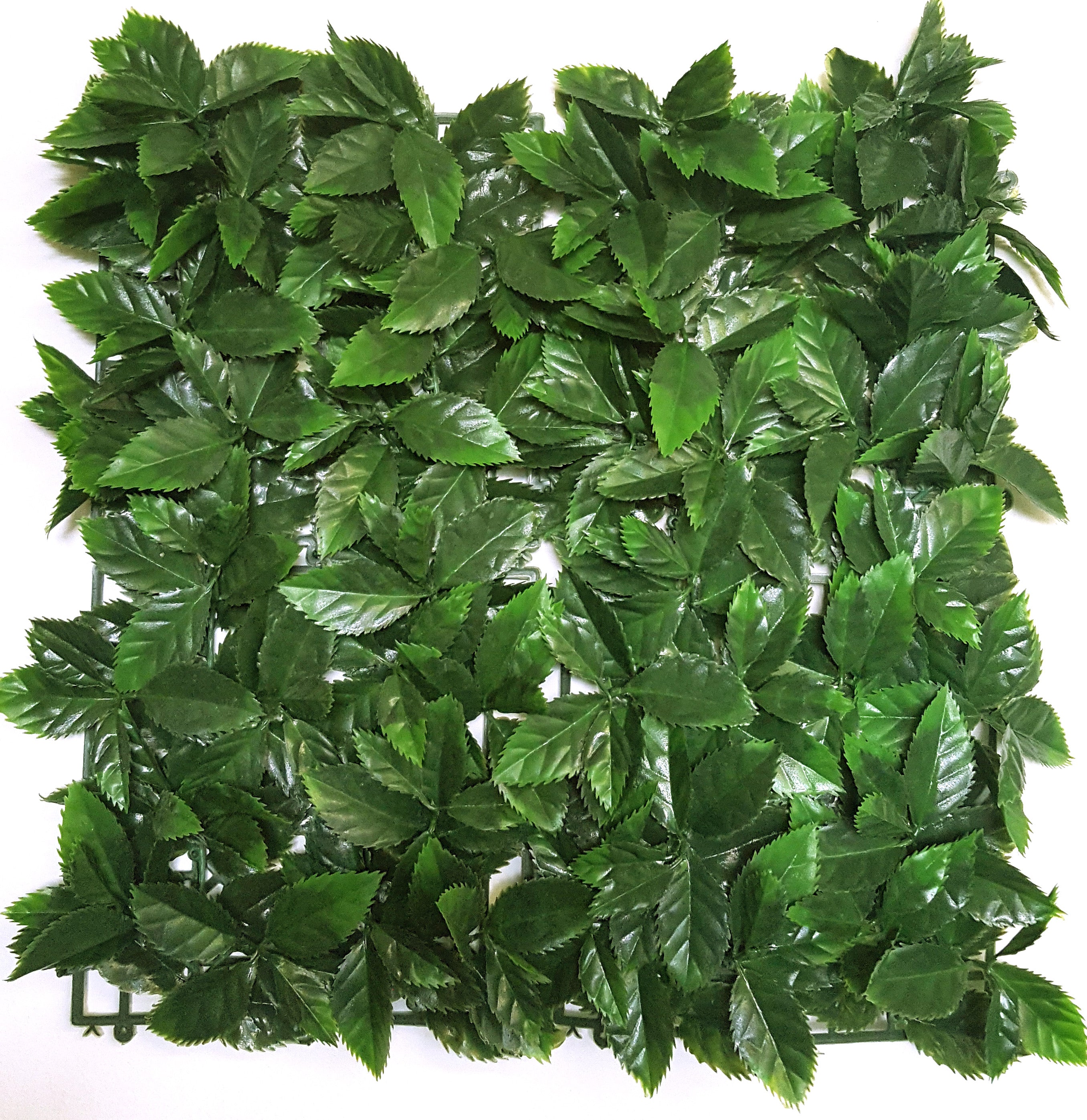 Photinia, green Artificial Hedge